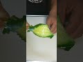 キュウリで螺旋階段作ってみた ショートムービー #Shorts