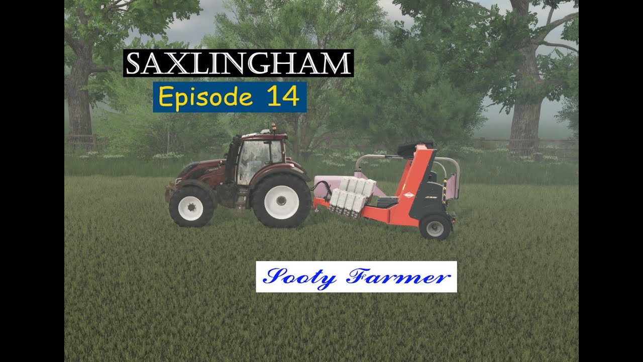 Bees buzz off and that's a wrap