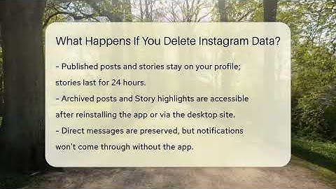 What Happens If You Delete Instagram Data? - Everyday-Networking