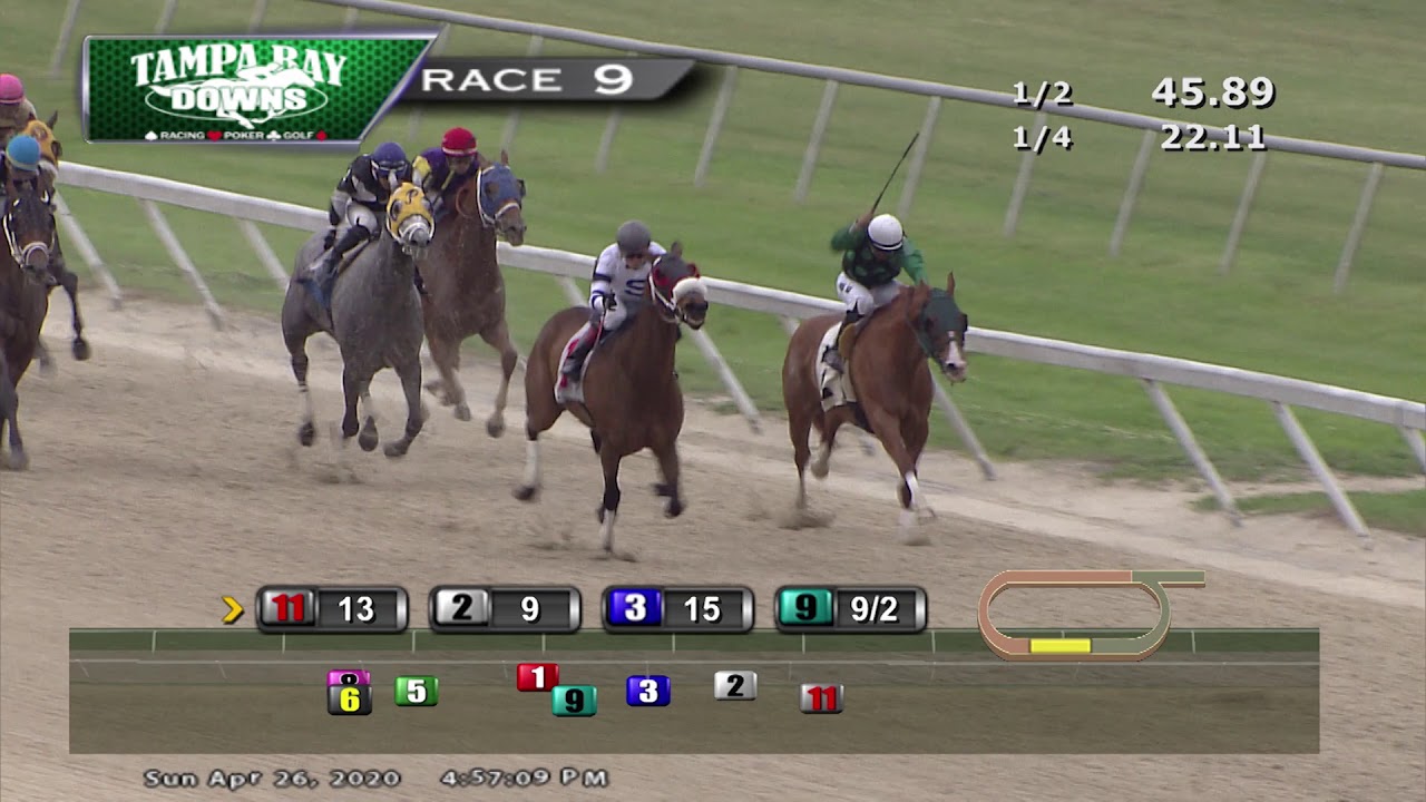 Tampa Bay Downs Replay 4 26 20 Race 9 YouTube