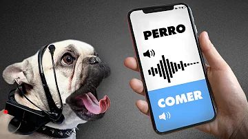 ¿Pueden los perros reconocer voces por teléfono?