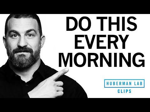 How to Feel Energized \u0026 Sleep Better With One Morning Activity | Dr. Andrew Huberman