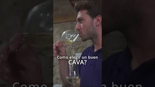 ¿Cómo elegir un Buen Cava? - Solà Raventós