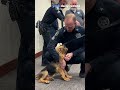 Introducing K-9 Mason, York County's newest search dog (in training)