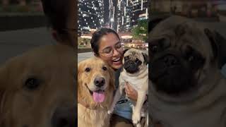 #me and my dogs trevling vloging #subscribetomyyoutubechannel