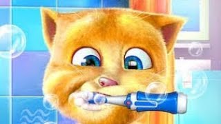 My Talking Ginger😻😻 #Teeth Brushing Timer😬😬🪥⏰⏰⏰ #Viral youtube Video✌️📸📸 #