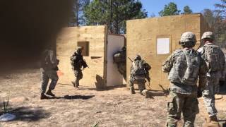 Black Lion Objective Capabilities Presentation