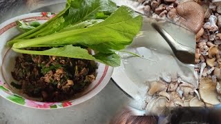 ซุปเห็ดบดให้แม่ย่ากิน//ຊູບເຫັດບົດໃຫ້ແມ່ຍ່າ