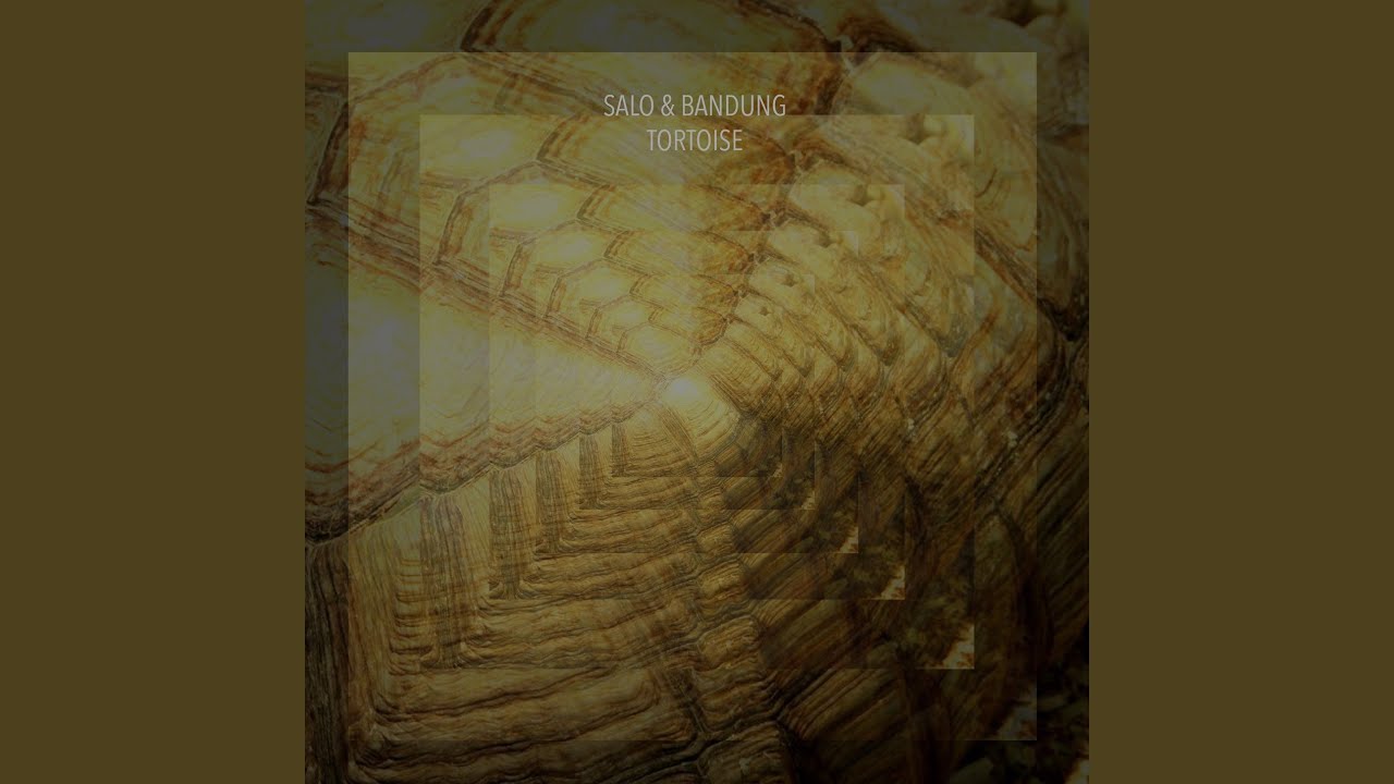 Watch Tortoise (Extended Mix) on YouTube Watch Tortoise (Extended Mix) on YouTube