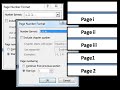 How To add different page number for different sections with PAGE BREAK 2017