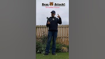 Bear Attack! Yoyo Trick Combo - Gr33nRobot Variant #yoyo #yoyotricks #gr33nrobot #yoyoing #trick