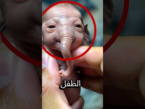 هذا في الواقع فيديو بالذكاء الاصطناعي قصص ترند اكسبلور ضحك مقاطع مضحكة