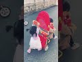 アンパンマン三輪車!#Anpanman#tricycle#アンパンマン