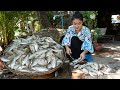  freshwater fishes mommy chef in countryside cooking 4 recipes with fishes  countryside life tv