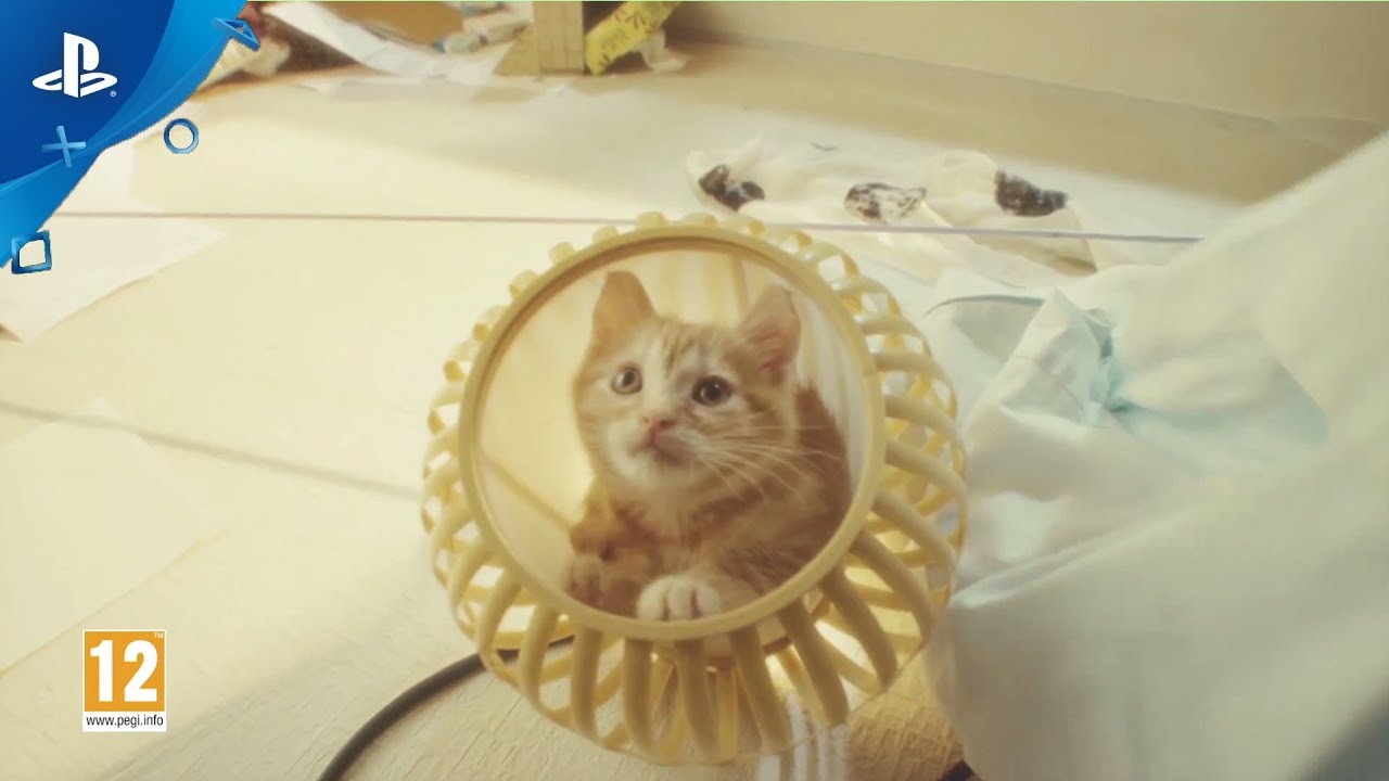 Gravity Rush 2 - "Gravity Cat" Live Action Trailer