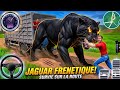 Animal Cargo Truck Driving Game 3D - Animal Transport Cargo Truck 2024 - Android Gameplay