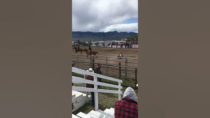 Colton Crook - Deadmans Creek rodeo 2017