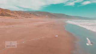 playa curiñanco valdivia Chile dji mavic air