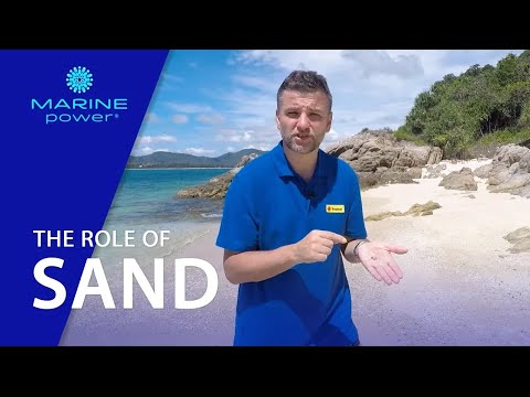 TROPICAL MARINE POWER | Everything you need to know about the sand in a marine aquarium
