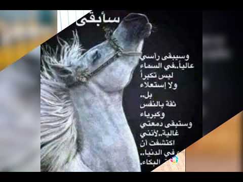 صلي عليك الله يا خير البري تعداد حبات الرمال واكثر