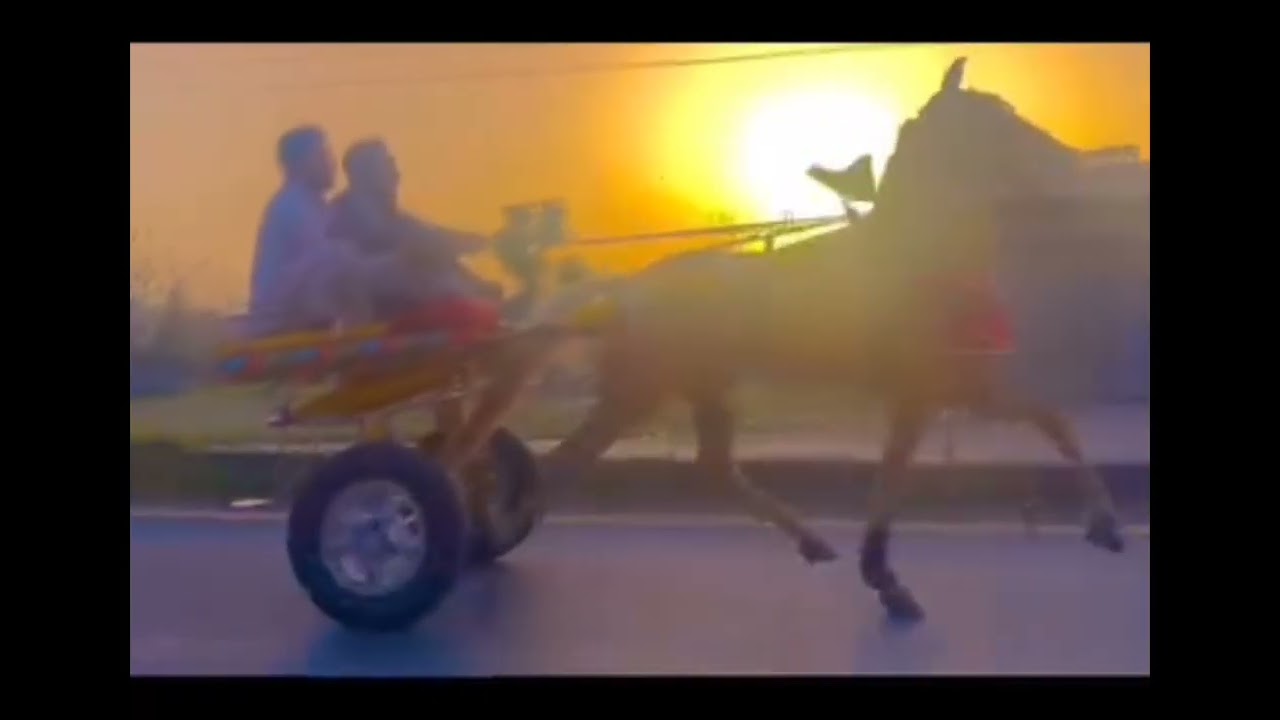 Kpk Pakistan horselovers