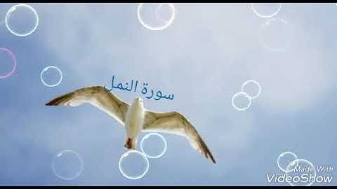 قرأت القرآن سورة النمل