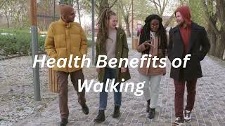 Health Benefits of Walking / Walking / What Will Happen to Your Body If You Walk Everyday