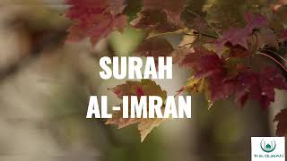 SURAH AL-IMRAN||COMPLETE RECITATION||HOLY QURAN||BEAUTIFUL VOICE||HD screenshot 4