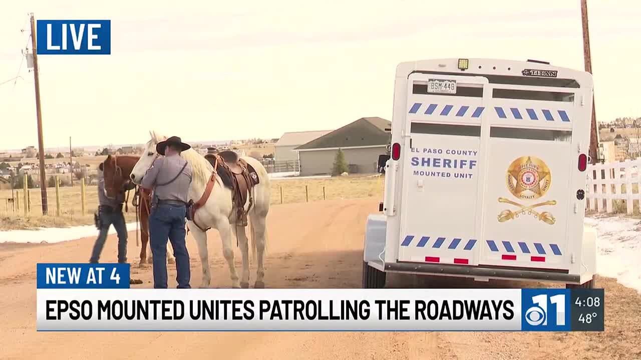 El Paso County Sheriff's Office using Mounted Unit - YouTube