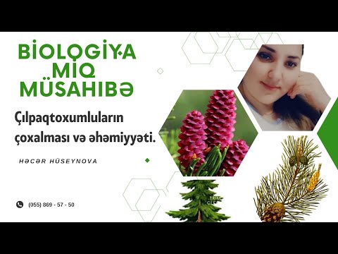 Video: Biologiyada nomenklaturanın əhəmiyyəti nədir?