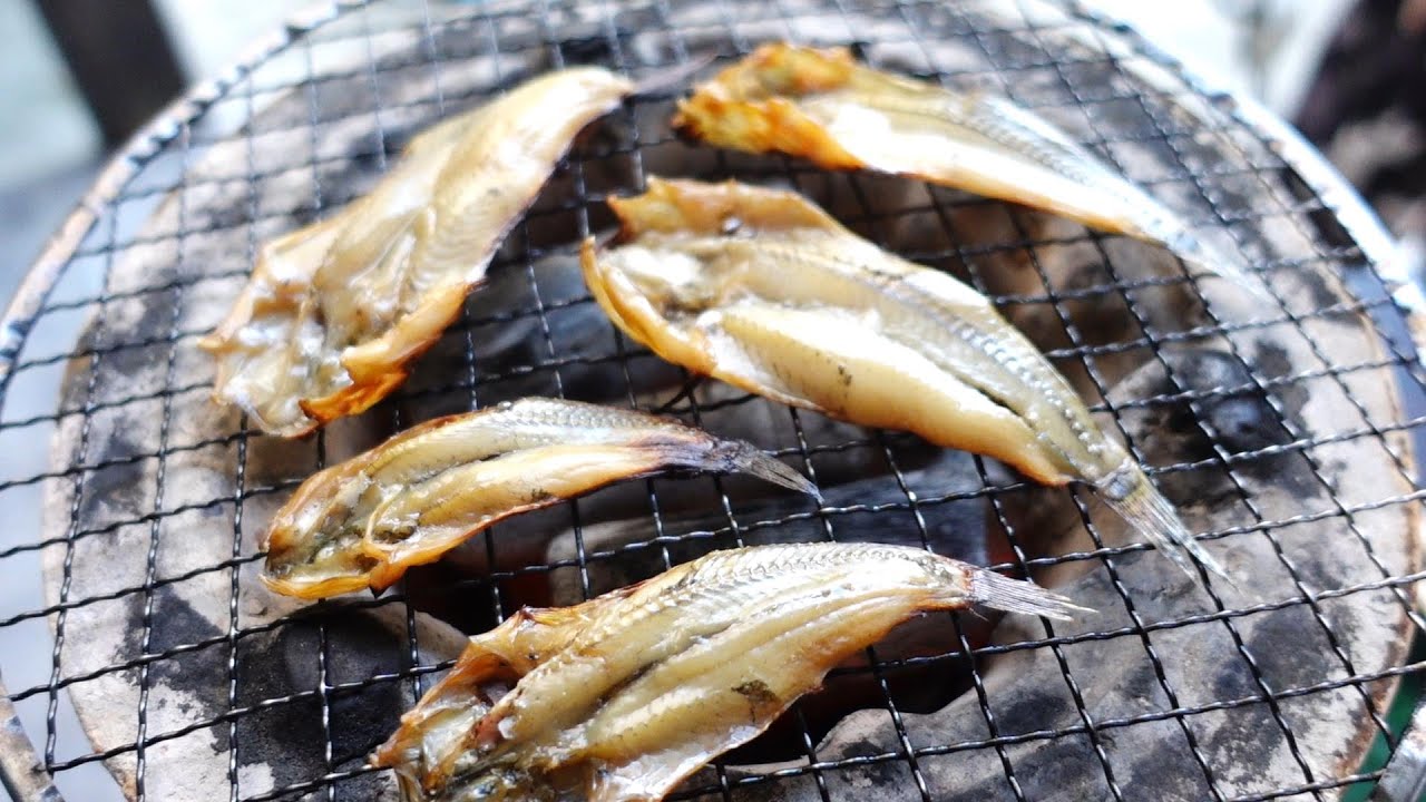 ハゼを最高に楽しむ！ホタテvsイソメで釣果対決！