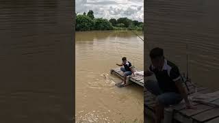 Dính cá mè khủng #fishing