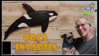 Orca Intarsia