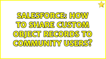 Salesforce: How to share custom Object records to community users?