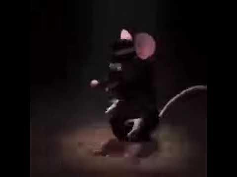 Черная крыса танцует мем Black Rat Dancing Short Video - YouTube