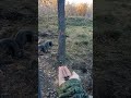 Приколы
