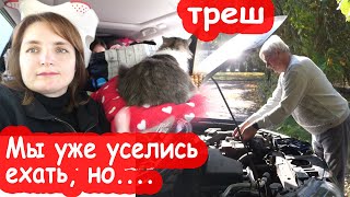 VLOG Что-то не даёт нам уехать в Украину. ЗНАК или...