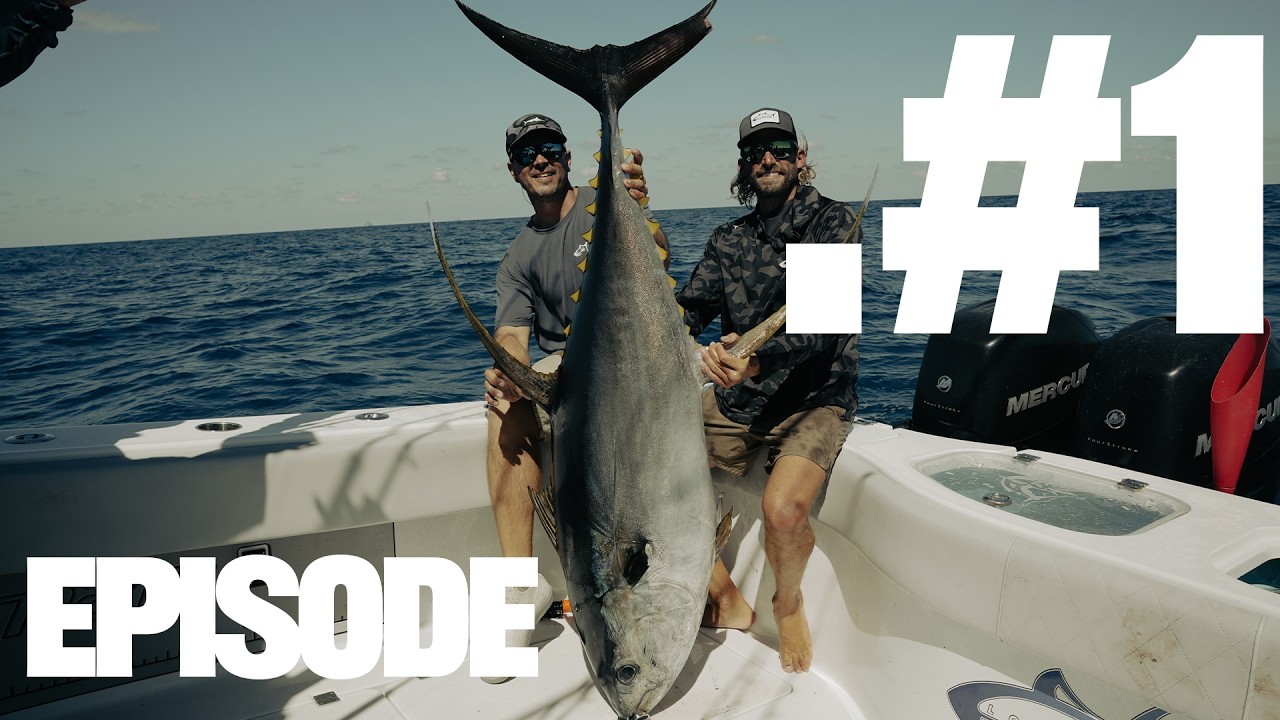 FISHING THE OIL RIGS IN THE GULF OF AMERICA & JUMBO #YELLOWFINS IN VENICE, LOUSIANA: EPISODE #1