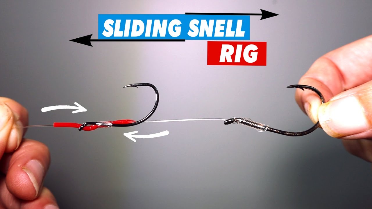 sliding snell rig - how to make a snapper rig & gummy shark rig 