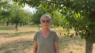Interview Claudine Vergnes - 3Ème Génération Les Vergers Descoute