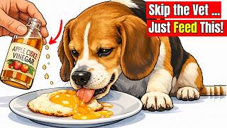 10 Human Foods That Work Like Natural Medicine for Your Dog