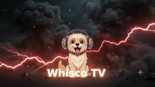 Whisco TV is 100% free live TV and on-demand streaming screenshot 5