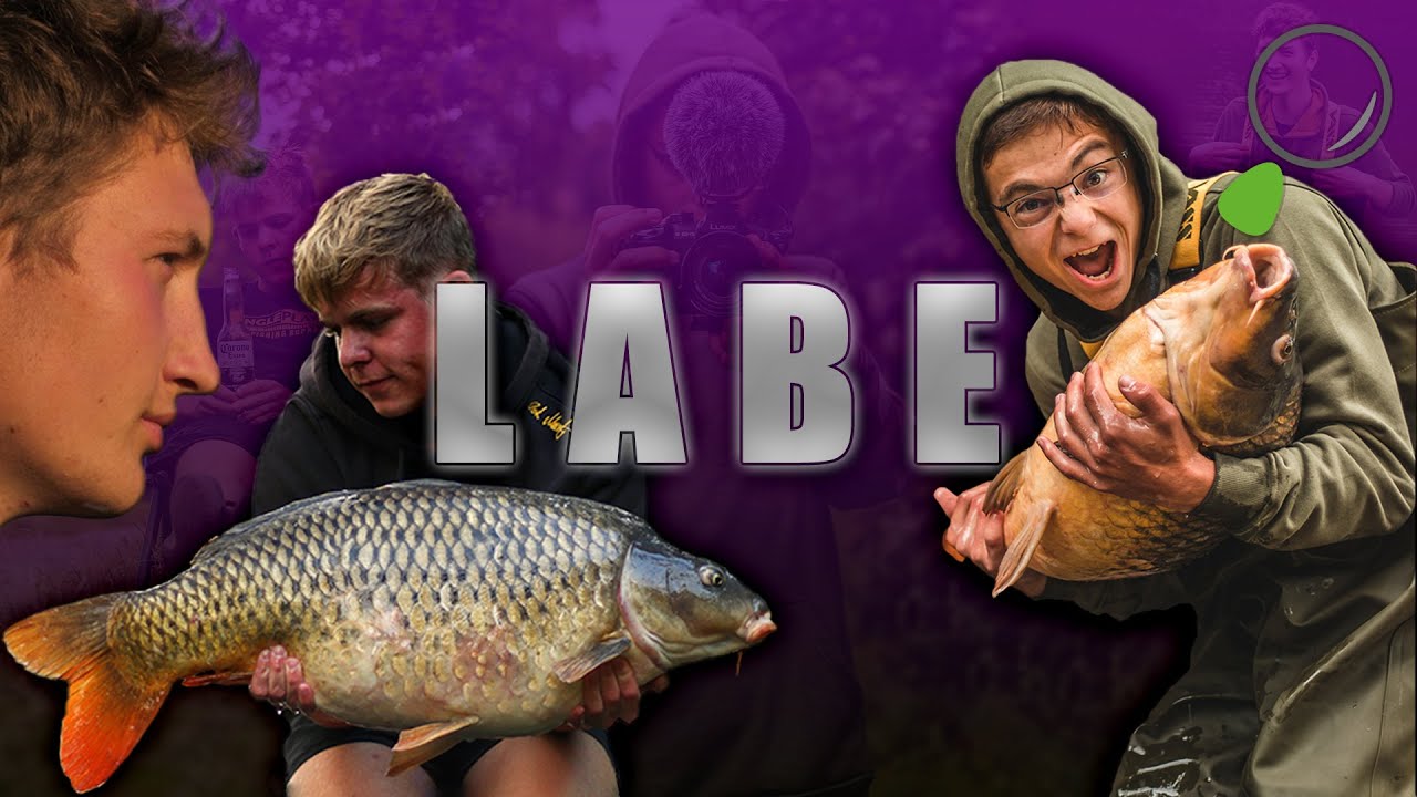 Labe 2021 Full Movie - Jsme Zpět!  Carp Fishing / Lov Kaprů