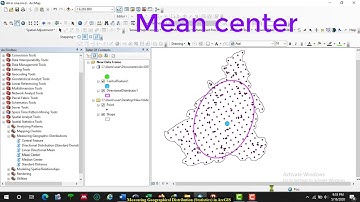 Measuring Geographical Distribution Statistics in ArcGIS