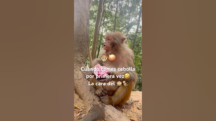 When you try onion for the first time #parati #humor #usa #fypシ゚viral #monkey #viral #fypage #fy