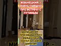 ПУТИН  РАССКАЗЫВАЕТ АНЕКДОТ ПРО ЕВРЕЕВ? #счастье #мудрость #жванецкий #путин #удачи #успех #здоровье