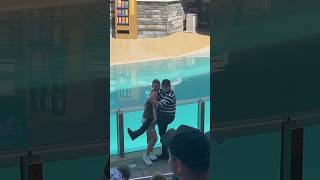 Tom the Mime Fun & Antics 25!! | SeaWorld Orlando! | #tomthemime #seaworldmime #funnyshorts