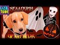 Челлендж Костюмы Щенок Таффи и Хэллоуин  Готовимся к Halloween  Костюм для собаки  \ LizaTube
