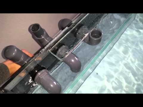 Modified 'Bean Animal' Overflow Drain Test | Doovi