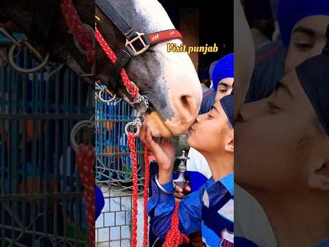 Nihang singh Love